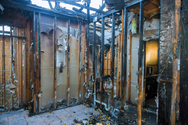 Professional Structural Rebuild technician working in Fulshear, TX